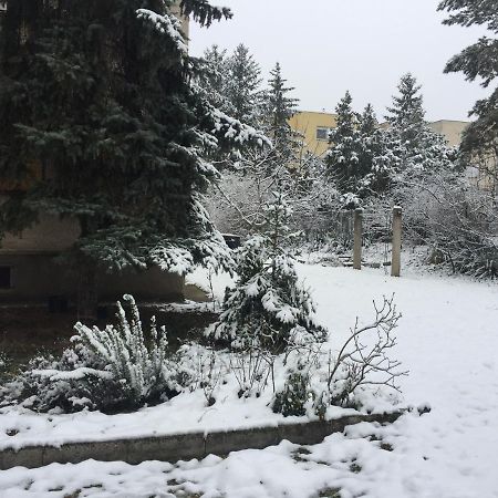 Next To University Debrecen Luaran gambar