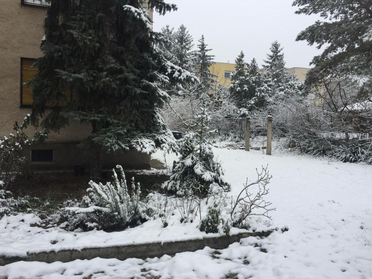 Next To University Debrecen Luaran gambar